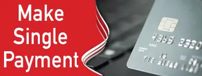 Make single payment white text on red background